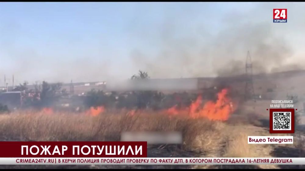 Сухая трава загорелась в Керчи на улице Чкалова