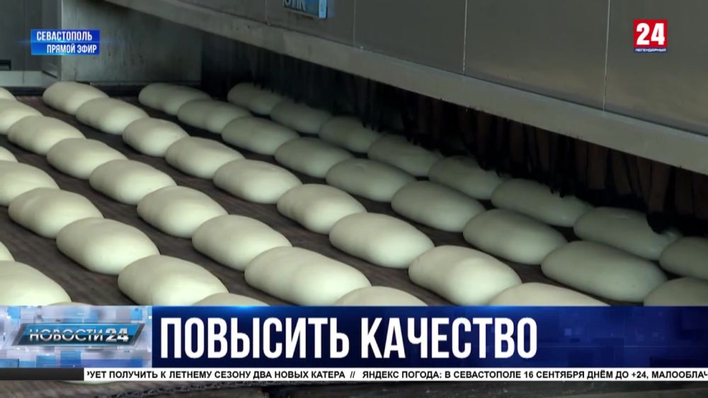 Обновление оборудования и расширение цехов: как реализуют субсидии севастопольские производители хлеба?