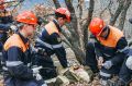 Сотрудники МЧС спасли более 70 туристов в горно-лесной местности Севастополя с начала года
