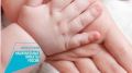 В Нижнегорском районе подано 313 заявлений на назначение ежемесячной выплаты в связи с рождением (усыновлением) первого ребенка