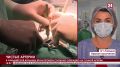 В Ливадийской больнице врачи провели сложную операцию на сонной артерии