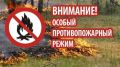 Государственный пожарный надзор предупреждает: В Крыму с 20 мая введен особый противопожарный режим