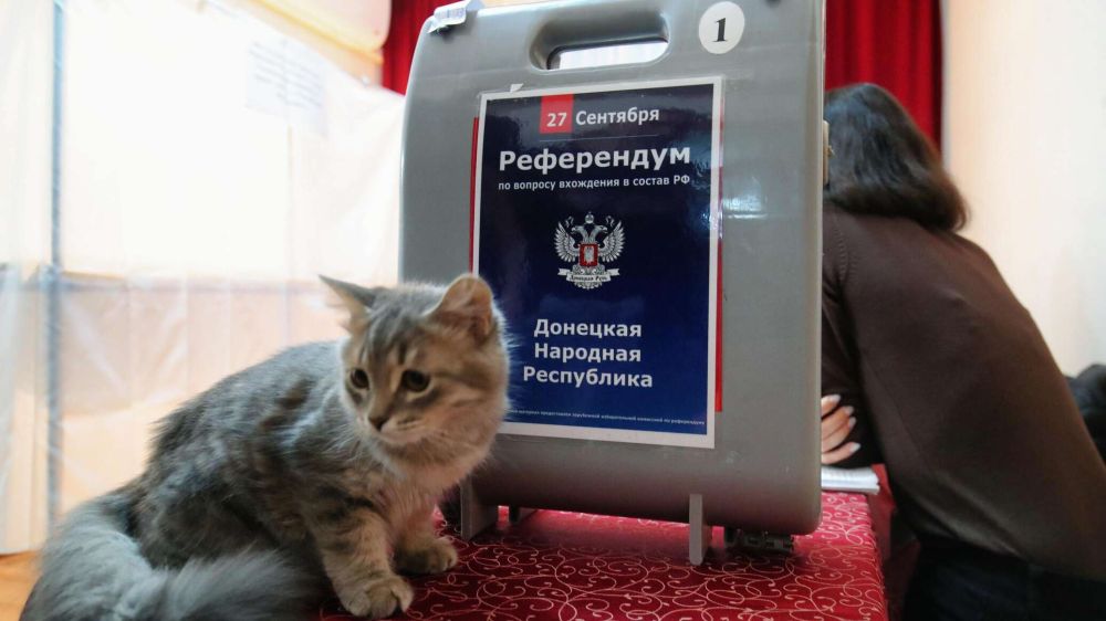 В Донбассе, Херсонской и Запорожской областях второй день референдума