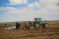 До конца года севастопольские аграрии получат более 80 млн рублей господдержки