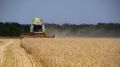 В этом году Крым сможет продать больше зерна внутри страны и на экспорт
