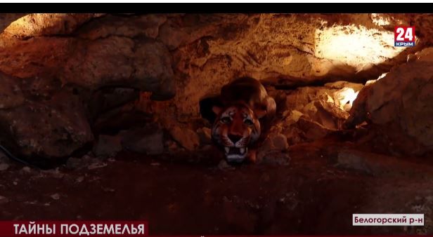 В пещере «Таврида» обнаружили останки доисторических животных