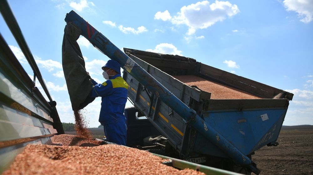 Крым получит 54 млн рублей на поддержку производителей зерна