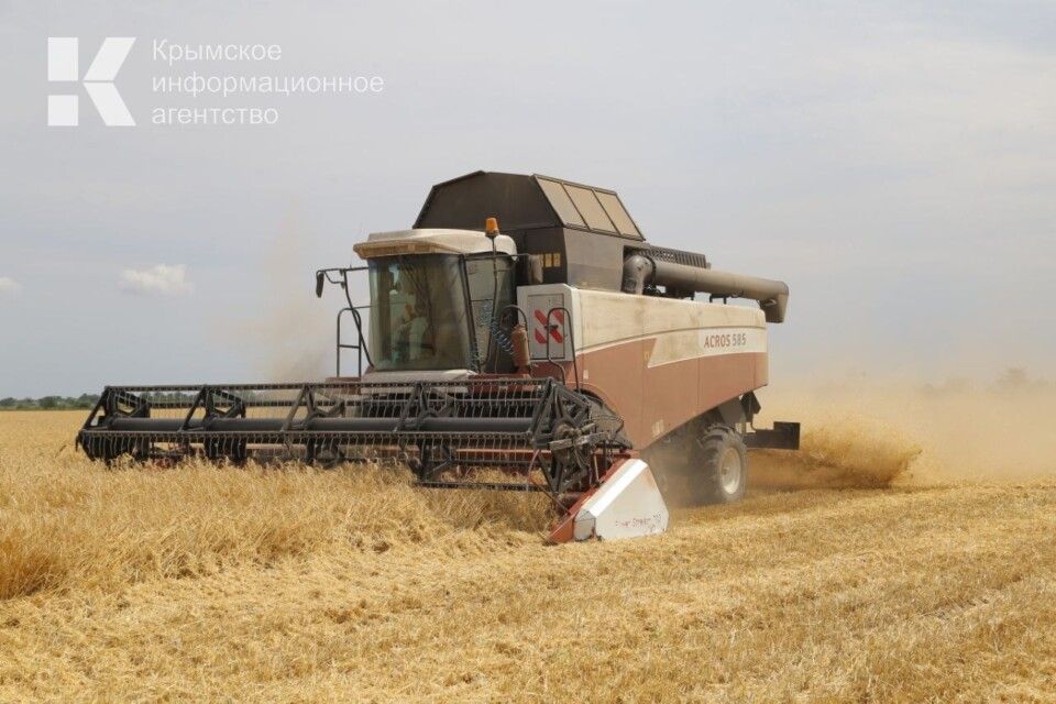 Крым получит более 54 млн рублей на возмещение части затрат аграриев на производство зерновых культур