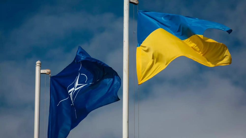 Эксперт оценил вероятность вступления Украины в НАТО