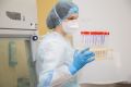 В Крыму за сутки выявили 242 случая коронавируса