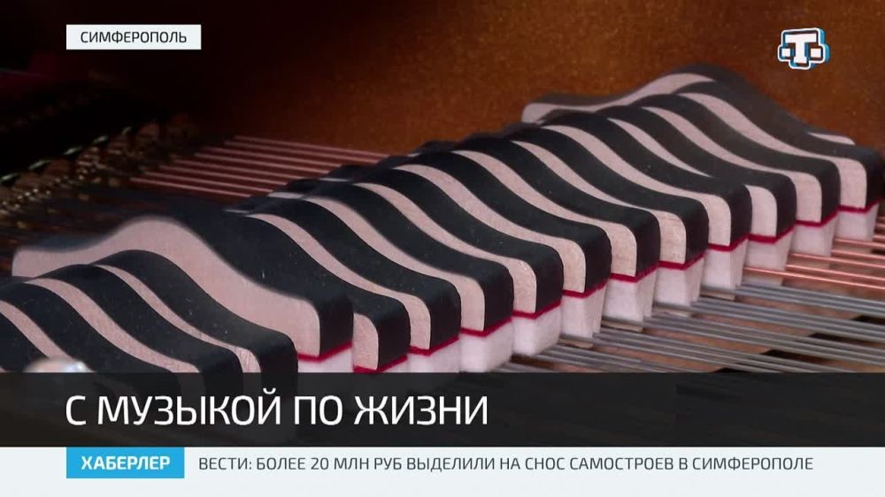 В девяти школах искусств Крыма появились новые музыкальные инструменты