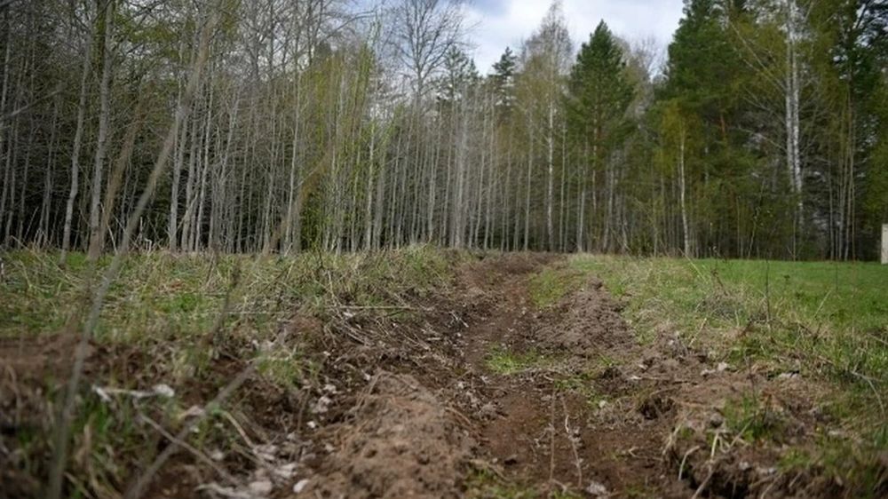 В Крыму временно запретили посещать леса