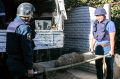 В Севастополе пиротехники МЧС уничтожили стокилограммовую бомбу