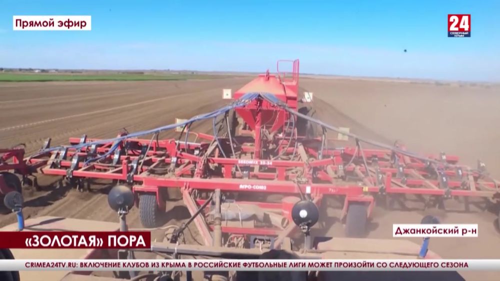 В Джанкойском районе озимой пшеницей займут 45 тысяч гектаров