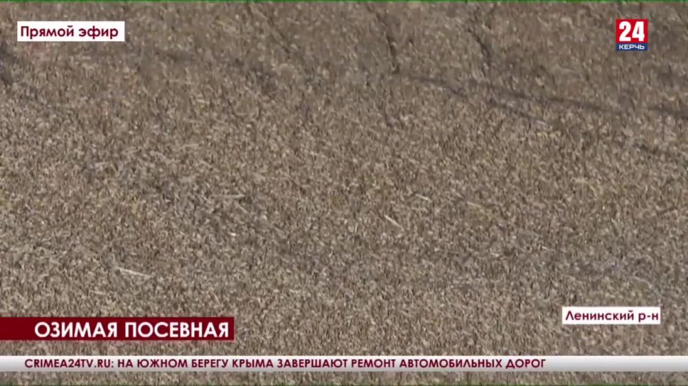В Ленинском районе планируют засеять 48 тысяч гектаров пшеницей, рапсом и кориандром
