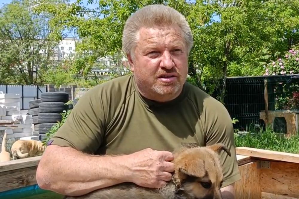 Крымские приюты для животных принимают питомцев мобилизованных граждан