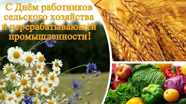 Поздравление Владислава Хаджиева и Владимира Сабивчака с Днём работника сельского хозяйства и перерабатывающей промышленности!