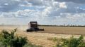 Предприятия Симферопольского района приступают к севу озимой пшеницы