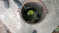 В Крыму спасли собаку, упавшую в канализационный люк