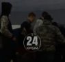 В Севастополе очевидцы сняли момент, как дельфинов перемещали в море