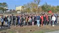 Накануне Дня народного единства в Центральном парке пгт Первомайское высажено более 100 деревьев