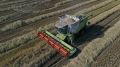 Андрей Савчук: Крымские аграрии собрали почти 6 тысяч тонн риса
