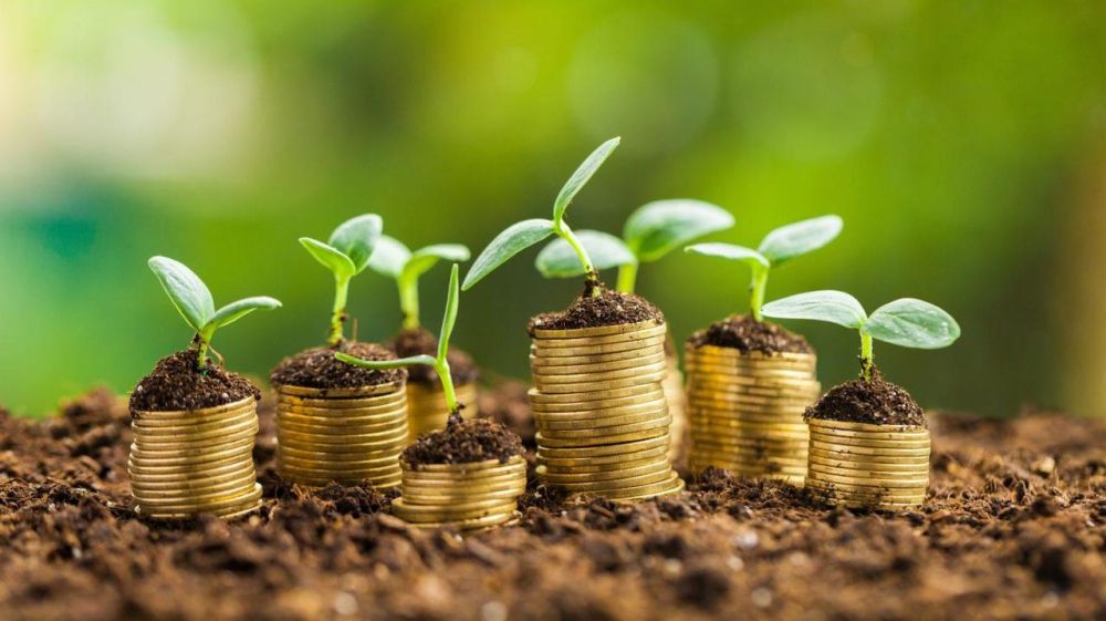 Стартует прием документов на получение субсидии производителям товаров ...