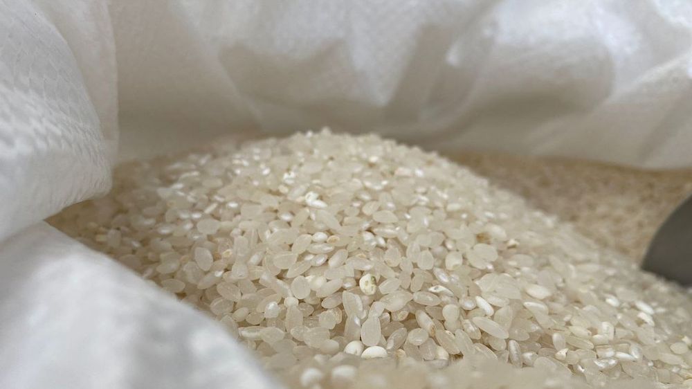 Вырощеный в Крыму рис поступил в продажу впервые за последние восемь лет