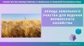 Минимущество Крыма предоставит в аренду фермерам земельный участок площадью более 15 га для выращивания зерновых культур