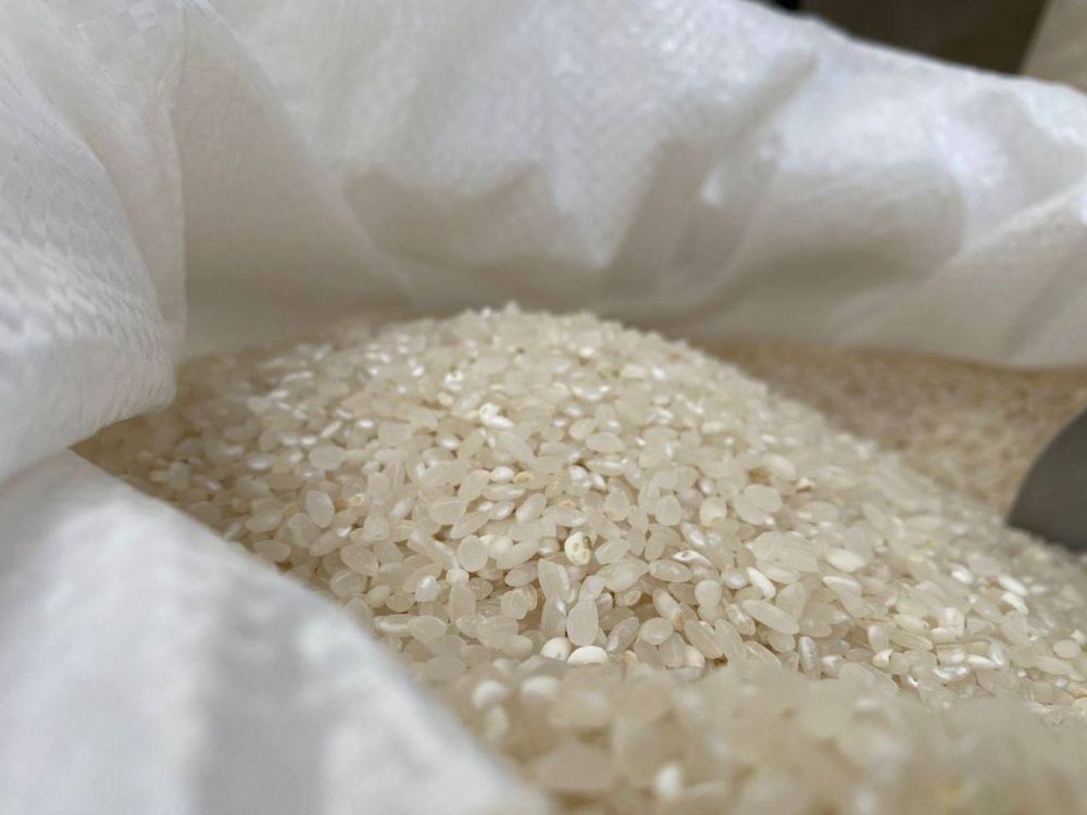 Впервые за восемь лет в Крыму начали продавать рис, выращенный в республике