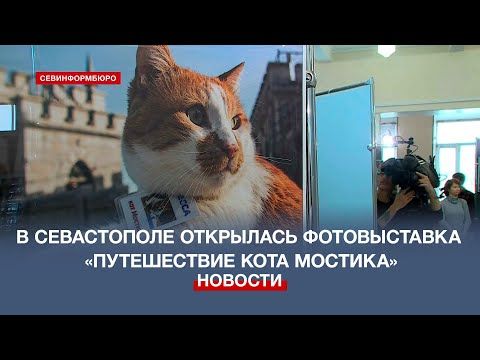 В Севастополе открыли фотовыставку «Путешествие кота Мостика»