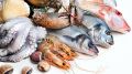 Роспотребнадзор контролирует безопасность рыбы и морепродуктов