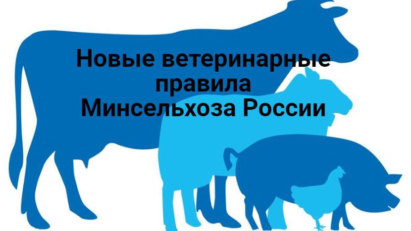 Госкомветеринарии Крыма информирует что с 1 марта 2023 года вступают в силу новые ветеринарные правила по содержанию овец и коз в целях их воспроизводства выращивания и реализации