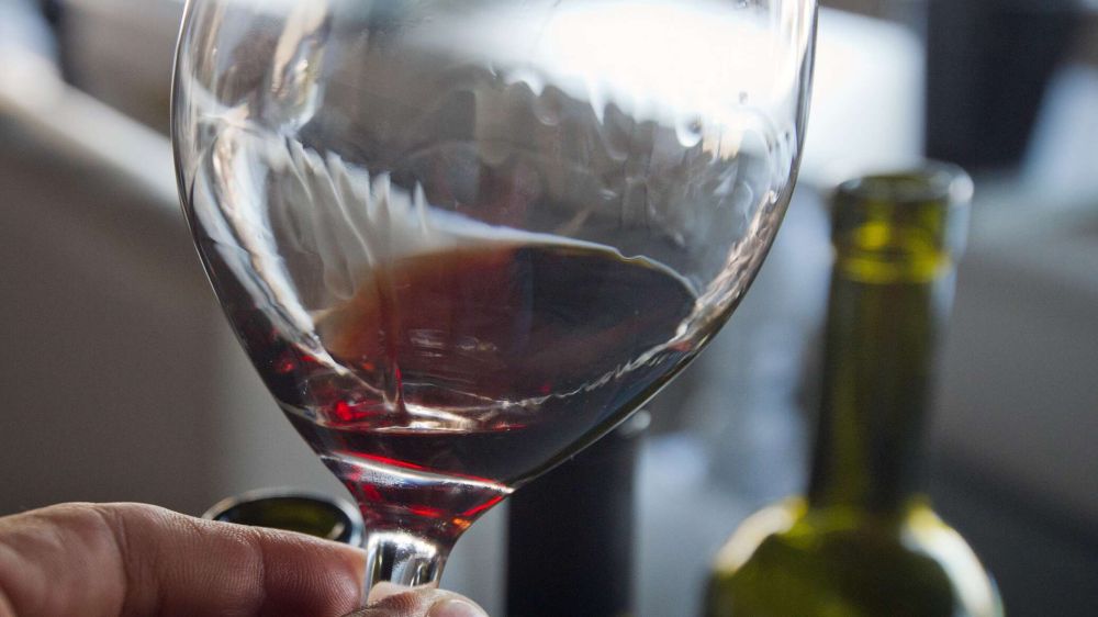Без дегустации никак: виноделы о решении готовить сомелье в вузах страны