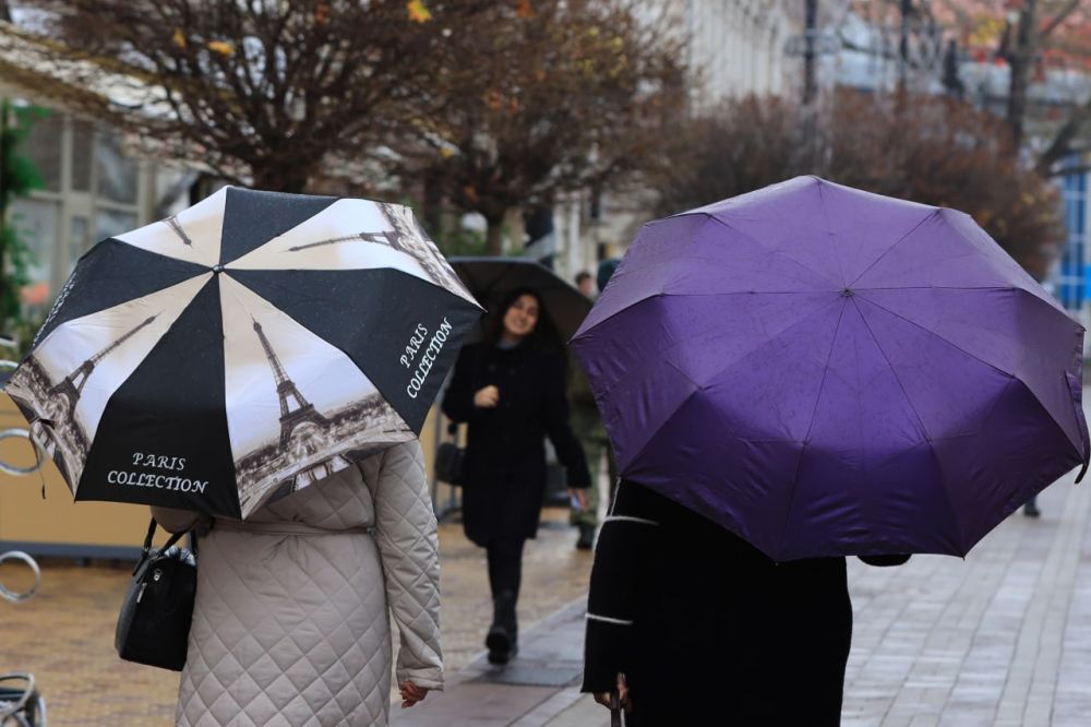 Потепление с дождём: погода в Крыму на 7 декабря
