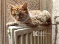 В Симферополе опровергли жалобу на отсутствие отопления в многоэтажке