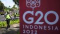 Могут ли исключить Россию из G20 и к чему это приведет – политолог