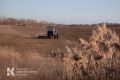В Белогорском районе не могут найти желающих засеять 2600 гектаров сельхозугодий