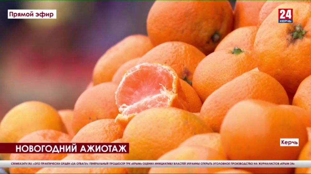 Новогодние ёлки в Керчи подорожали из-за увеличения расходов на ...