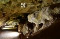 В пещере «Таврида» открывается выставка современных художников