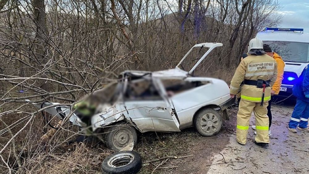 Водитель «ЗАЗ» погиб, врезавшись в дерево, по дороге из Коктебеля в  Феодосию - Лента новостей Крыма