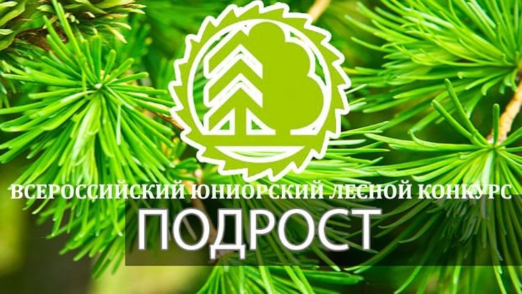 Подведены итоги Республиканского этапа Всероссийского юниорского лесного конкурса «Подрост» в 2022-2023 учебном году