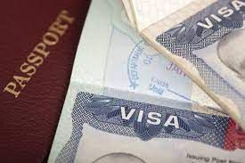 Рабочая виза: что собой представляет и в чем её особенности