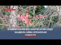 Предвестники весны в Крыму: в Никитском ботаническом саду зацвела айва