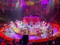 В Крым с гастролями впервые приехал Королевский цирк