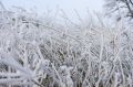 Погода в Крыму 31 января: пасмурно и холодно