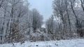 В горах Крыма ожидается сильный снег и гололед