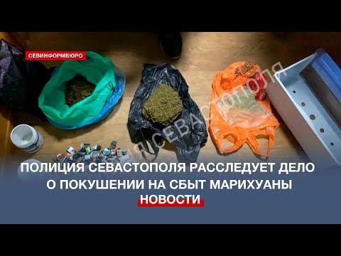 Полиция Севастополя задержала подозреваемого в незаконном сбыте марихуаны