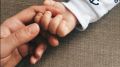 В 2022 году в Крыму возросло количество государственных регистраций установления отцовства