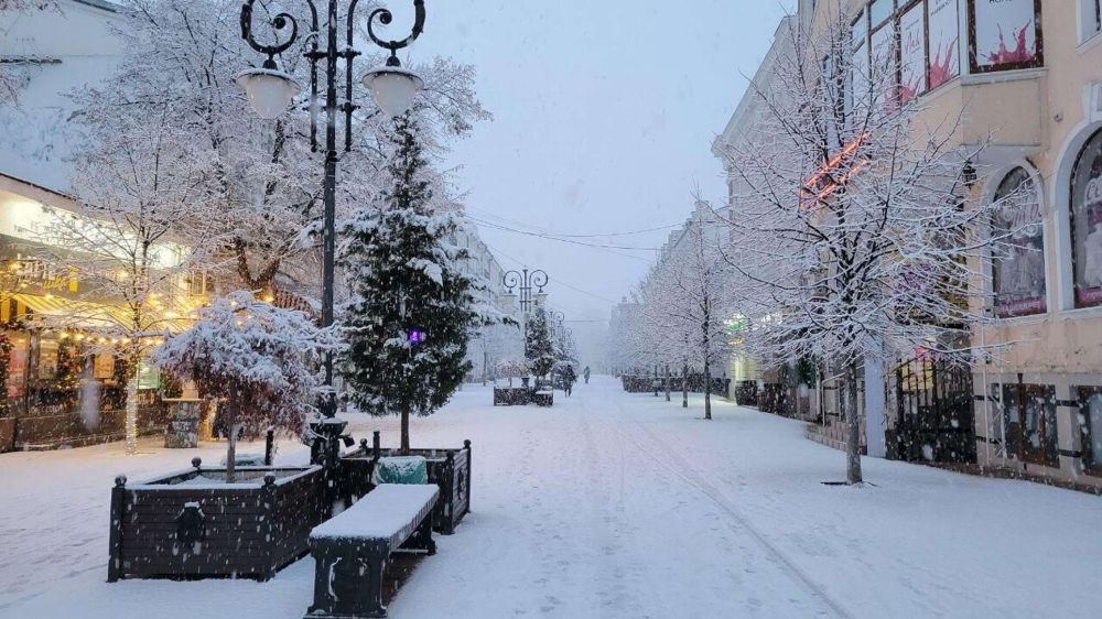 Снежная буря обрушилась на Крым: дороги "сковали" 10-балльные пробки